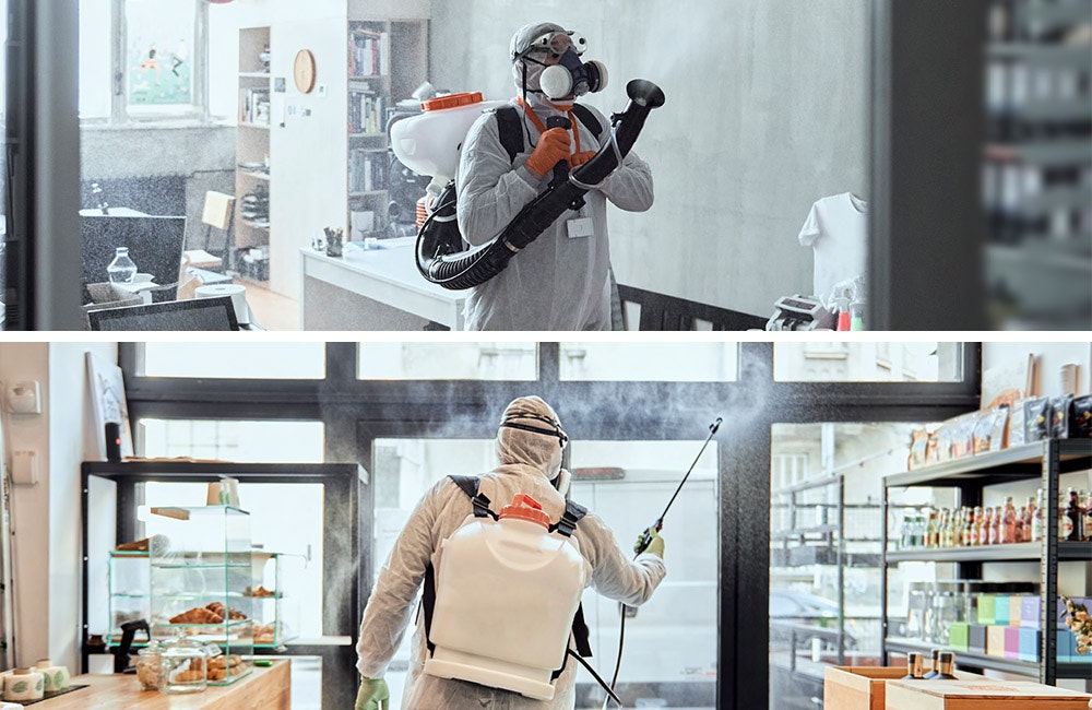 1651069139481 Weis Article