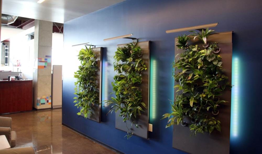 1651069402072 Plantwall 2 1200