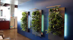 Plantwall_2_1200