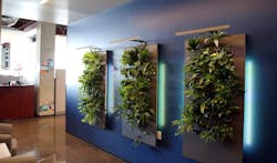 1651069402072 Plantwall 2 1200 1651069402072 Plantwall 2 1200