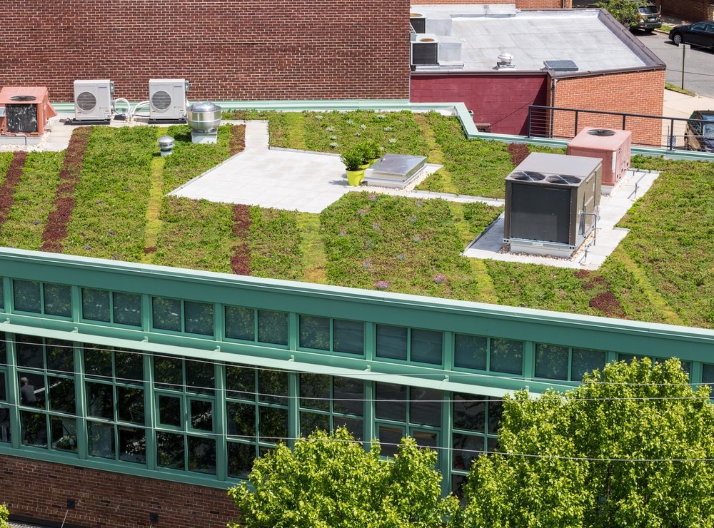 1651069577355 Vegetated Roof