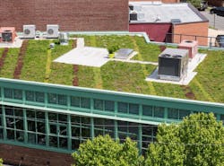 1651069577355 Vegetated Roof 1651069577355 Vegetated Roof