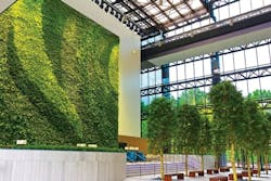 1651069620627 Tree Ravinia Drive 1651069620627 Tree Ravinia Drive