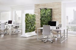 1651069847681 Collection1 1651069847681 Collection1