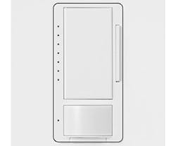Lutron Lutron