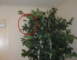 1651070051061 Strobe4 1651070051061 Strobe4