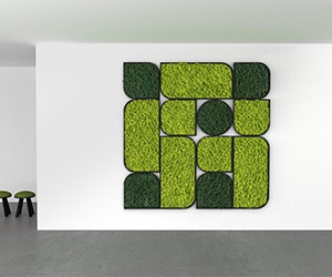 1651070071243 Buzzispace