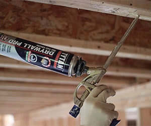 1651070116325 Selenausa