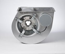 1651070120005 Regal 1651070120005 Regal