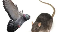 B_0213_PestControl1