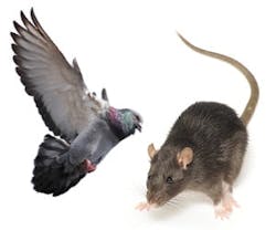 1651070207818 B 0213 Pestcontrol1 1651070207818 B 0213 Pestcontrol1