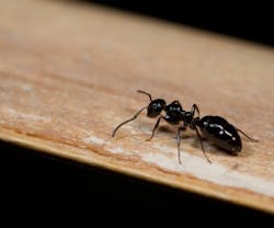 1651070207820 1013newsfeedant 1651070207820 1013newsfeedant