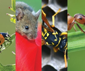 1651070207840 B 0414 Gf1