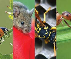 1651070207840 B 0414 Gf1 1651070207840 B 0414 Gf1