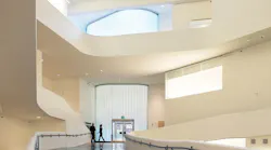 UofINatural_Light