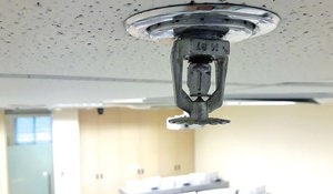 1651070398024 Rsz Sprinkler