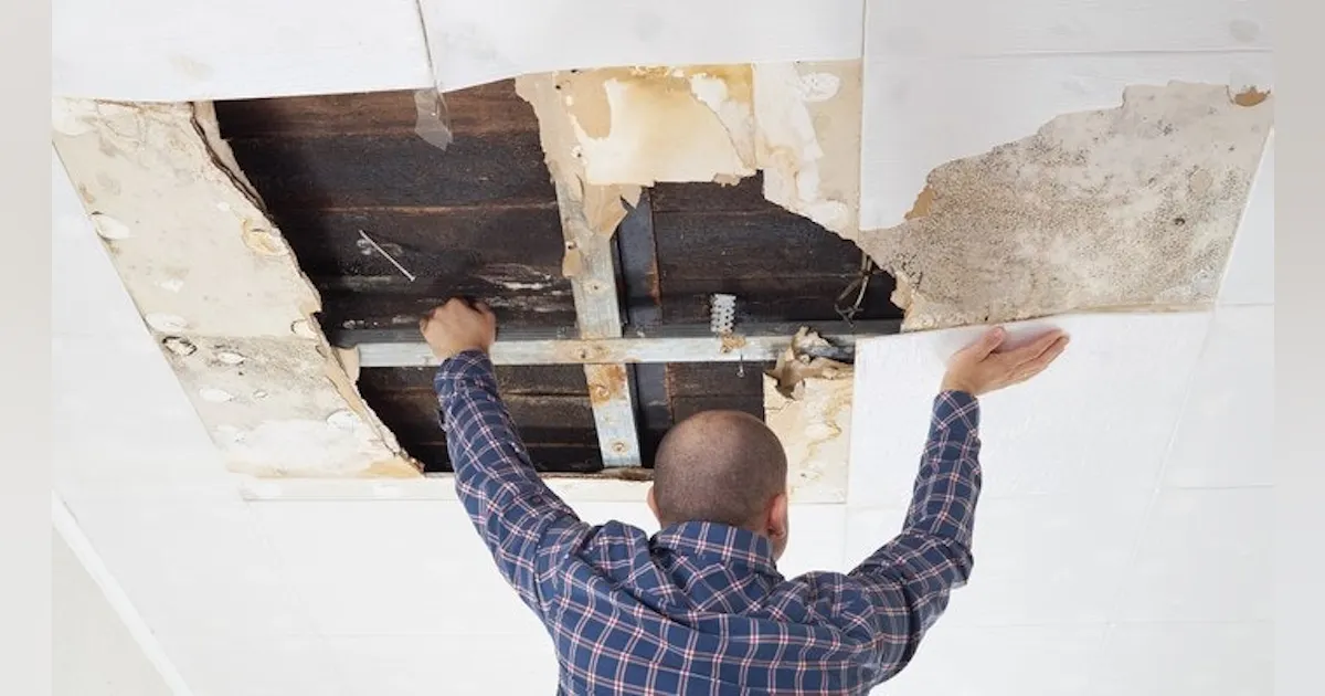 Top 5 Envelope Failures and Water Leaking Solutions | Buildings