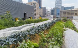 1651071475922 Rooftoppests 1651071475922 Rooftoppests