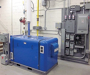 EnergyMeasures_American-DG-Energy