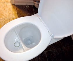 Water_RosiesNaturalWay Water_RosiesNaturalWay