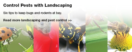 1651071978036 Fss 0421 Lead Pest Control