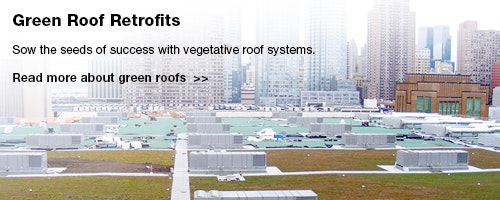 1651072051357 Rr 0305 Lead Green Roof Retrofits