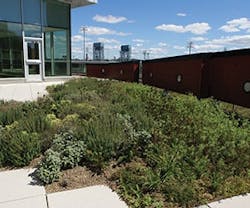 1651072558692 B 0513 Products Sikasarnafil 1651072558692 B 0513 Products Sikasarnafil