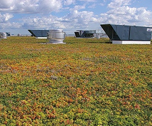 1651072578427 B 0313 Products Xeroflor