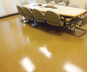 1651072578464 B 0613 Products Dsm