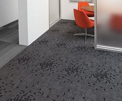 B_0113_Products_Tandus B_0113_Products_Tandus