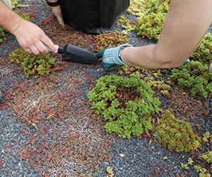 1651072767171 B 0213 Products Tremco