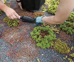 1651072767171 B 0213 Products Tremco 1651072767171 B 0213 Products Tremco