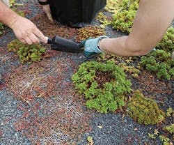 B_0213_Products_Tremco B_0213_Products_Tremco