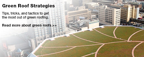 1651072790895 Gf 0123 Lead Green Roof Strategies