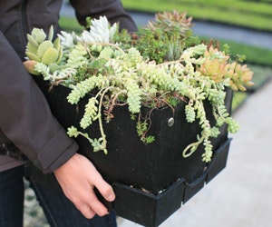 1651072912589 B 0212 Products Liveroof