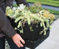 1651072912589 B 0212 Products Liveroof 1651072912589 B 0212 Products Liveroof