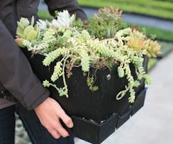 B_0212_Products_LiveRoof B_0212_Products_LiveRoof