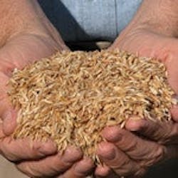 1651073072062 Bld Gf Biomass Reduces Environment Impact Tnr 1651073072062 Bld Gf Biomass Reduces Environment Impact Tnr