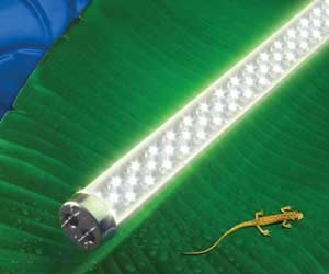 1651073259945 B 0612 Moneysaving16 Ledtronics