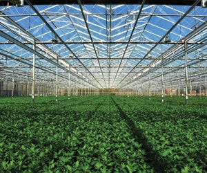 1651073278506 B 0612 News10