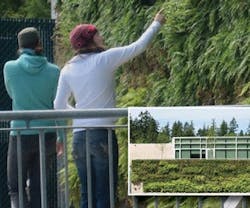 1651074113067 Green Wall Benefits Sustainability 1651074113067 Green Wall Benefits Sustainability