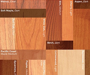 1651074746885 B 1210 News1