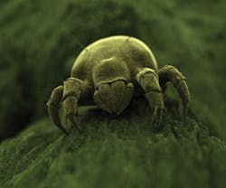 B_1010_News4 B_1010_News4