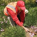 B_0910_ATM_WaterConLandscape_tn B_0910_ATM_WaterConLandscape_tn