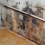 B_0810_ATM_MoldAwareness_tn B_0810_ATM_MoldAwareness_tn