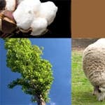 B_0710_ATM_TrendsInsulation_tn B_0710_ATM_TrendsInsulation_tn