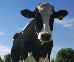 B_0710_News3 B_0710_News3