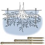 B_0510_GF_DeepDrip_tn B_0510_GF_DeepDrip_tn