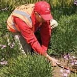 B_0410_ATM_WaterConservation_tn B_0410_ATM_WaterConservation_tn