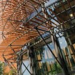 B_0110_GF_GoingGreenDown_tn B_0110_GF_GoingGreenDown_tn